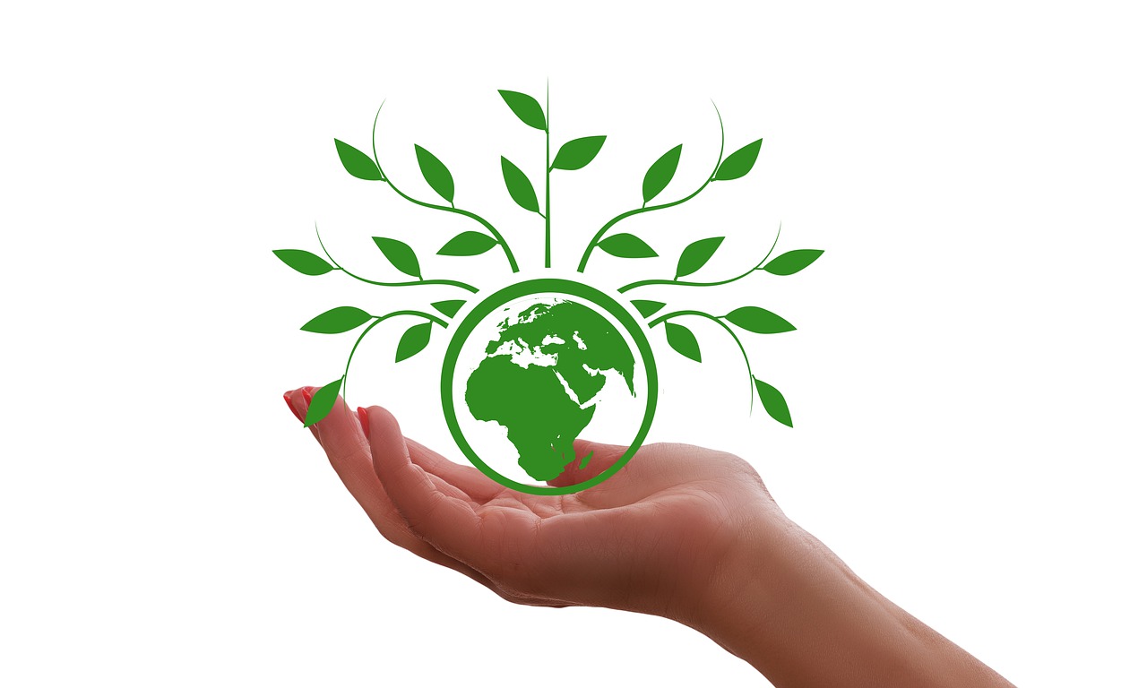 hand, keep, globe-4455338.jpg